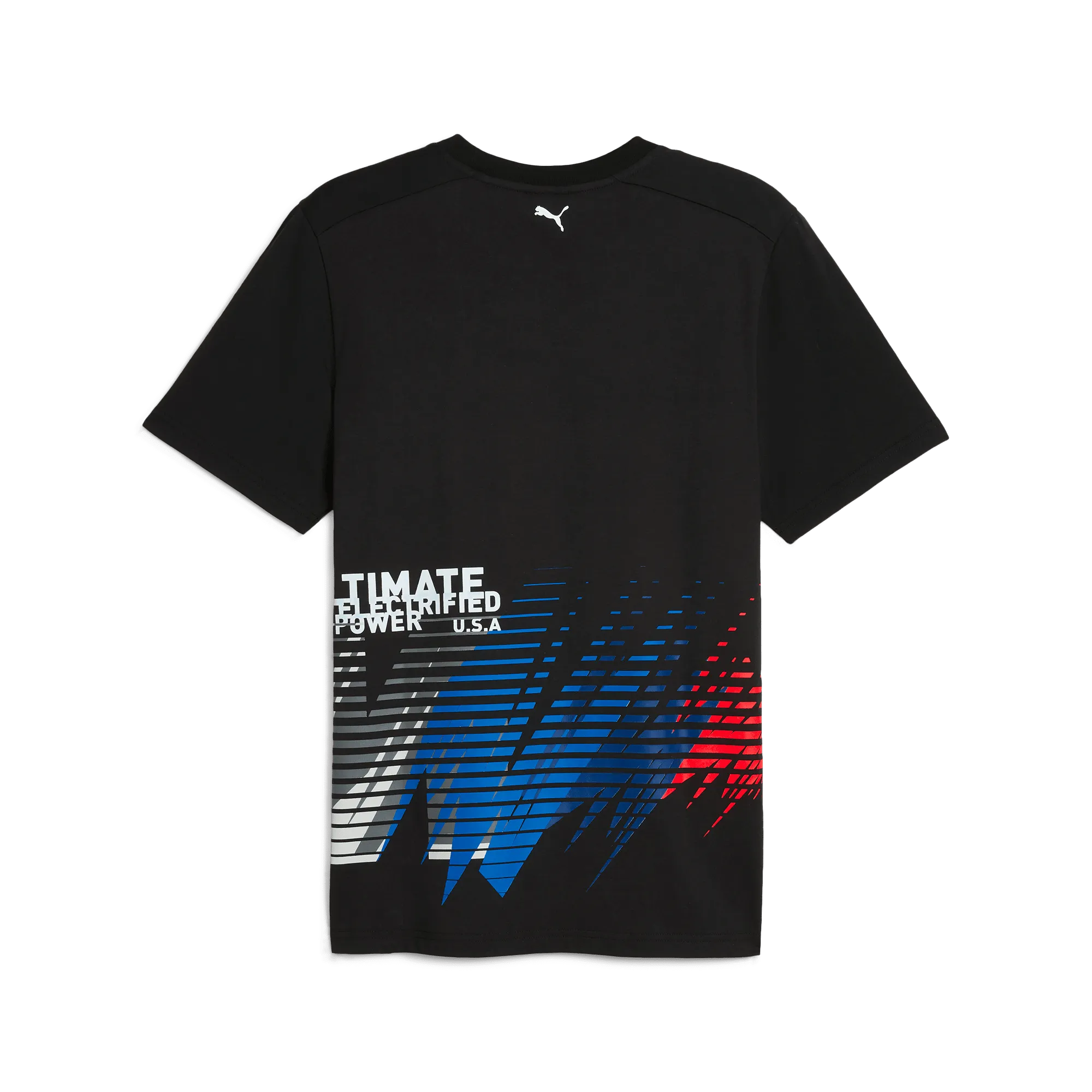 BMW Motorsports Men's USA Race T-Shirt- Black