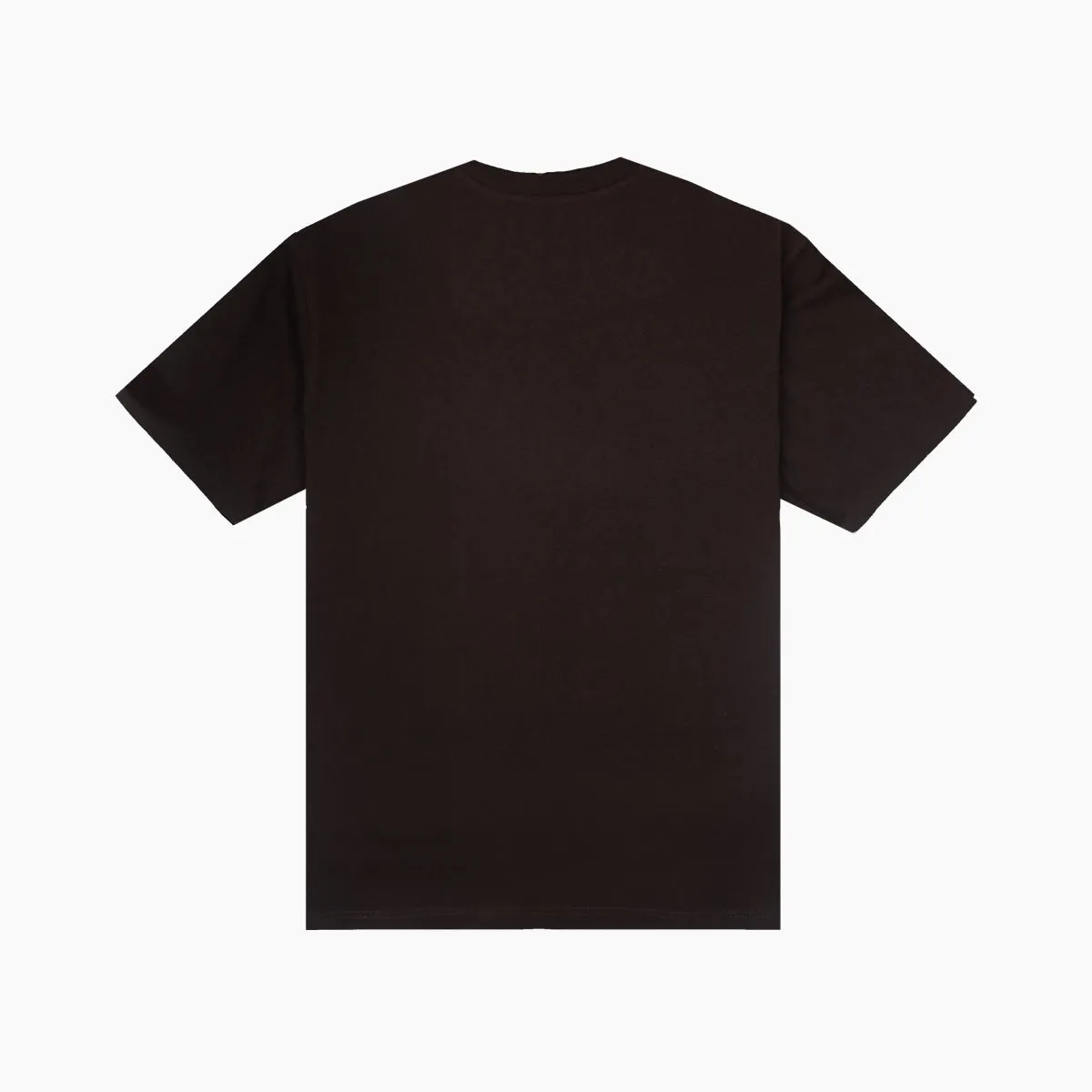 Carhartt WIP American Script T-Shirt