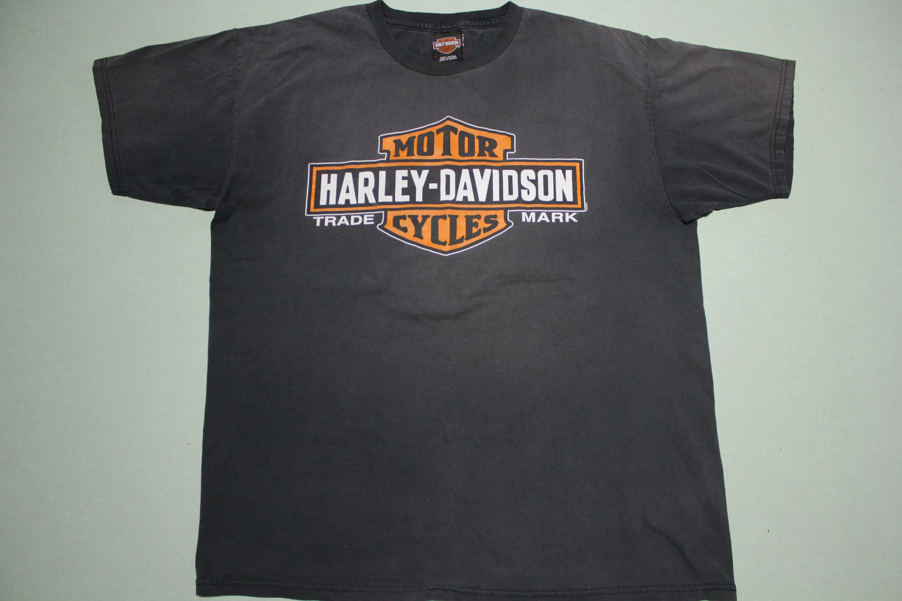 Harley Davidson Rattlesnake Mountain Motorcycles Faded Black Biker T-Shirt