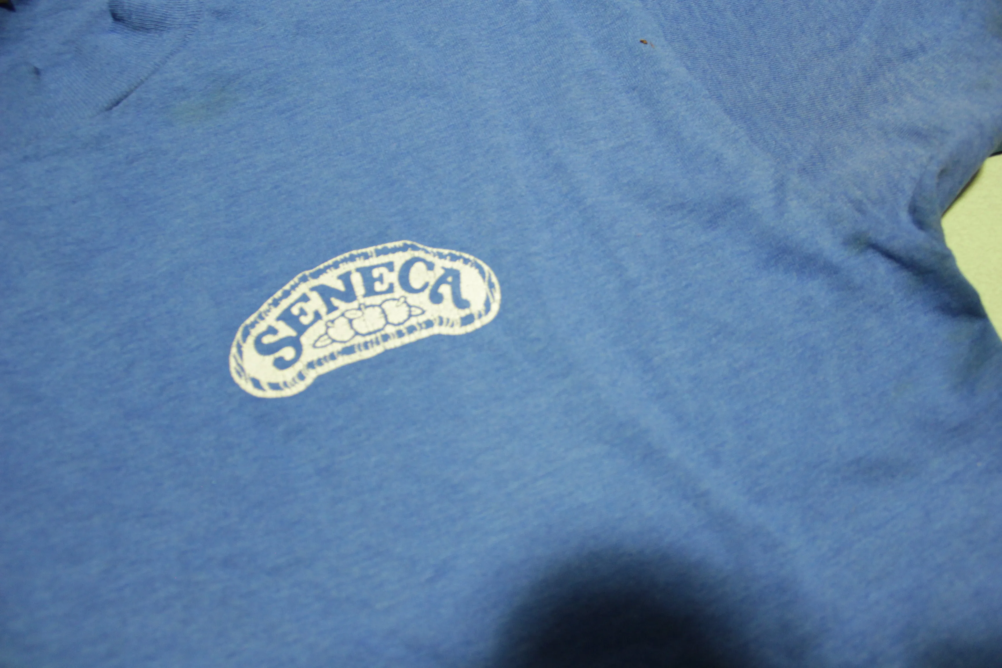 Seneca Apples Vintage 90's Fruit of the Loom BEST Single Stitch T-Shirt